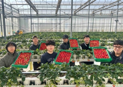 쿠팡, 딸기철 산지서 3000t 매입…"인구감소지역 농가 판로 확대"