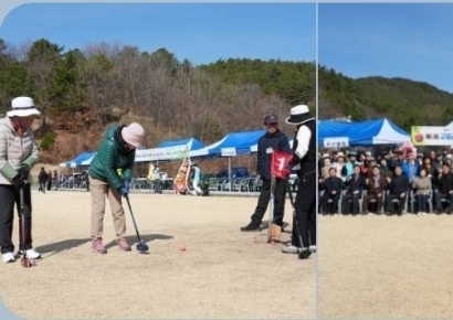 고령군, 그라운드골프대회