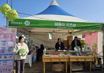 광양매화축제 개막... 매돌이 키링 이벤트 관광객 '북적'