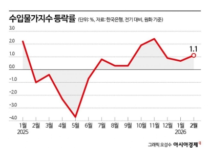 수입 물가 8개월째 상승…"美·이란 전쟁 반영 안 돼, 3월에도 오를 것"
