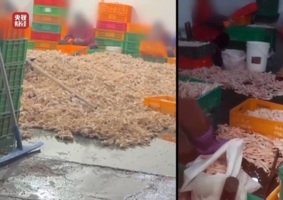 유독 뽀얗던 닭발, 알고보니 경악…"자칫하면 장기 손상" 소독약에 빨았네