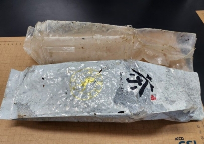 '도대체 얼마나 퍼졌나' 제주서 벌써 19번째 발견…"즉시 신고하세요"