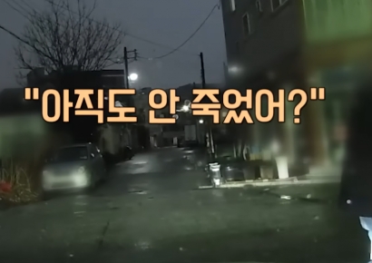 "아직 안 죽었어?" 70차례 폭행당한 택시기사 의식불명  