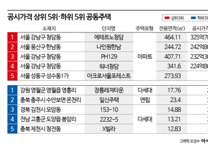 아이유 사는 '에테르노 청담' 325억…2년 연속 가장 비싼 아파트[2026 공시가격]