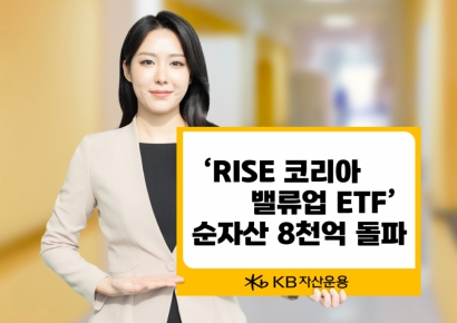 KB운용 'RISE 코리아밸류업' ETF, 순자산 8000억원 돌파