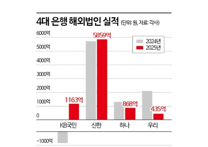 "미국선 날았는데" 中·인니에 발목잡혀…4대 은행 글로벌 성적 '극과 극'