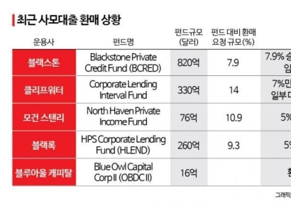 한때 '황금알 낳는 거위' 였는데…금융위기 '시한폭탄' 된 시장[글로벌 포커스]