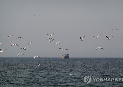 이란, UAE에 "호르무즈 분쟁도서 공격 허용말라" 경고