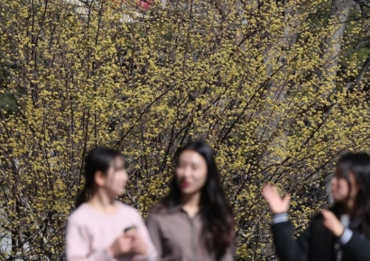 [내일날씨]"겉옷 챙기세요"…포근한 봄기운에 큰 일교차