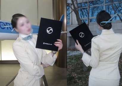 "스튜어디스 외모 수준이 좀"…대한항공 女승무원 인스타서 벌어진 설전, 무슨 일