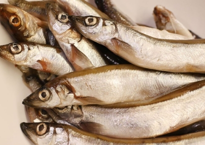 죽은 듯 얌전한 생선들…알고 보니 '무허가 마취제' 투여한 中 상인들