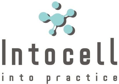 인투셀, ADC 신약 'ITC-6146RO' 글로벌 임상 1상 본격화