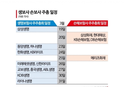 해약준비금 부담 속 보험사 주총 막 올라…'지배구조·주주환원' 시험대