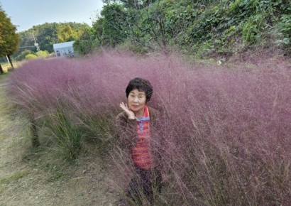 귀가 중 교통사고…3명에 새 삶 선물한 70대 할머니