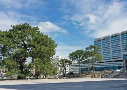 해남군, 4년 연속 '적극행정 우수'…전국 최고 입증