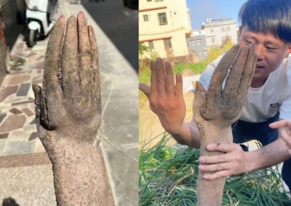 "시체인 줄 알고 놀랐다"…사람 손 너무 닮아, 정체에 '깜짝'