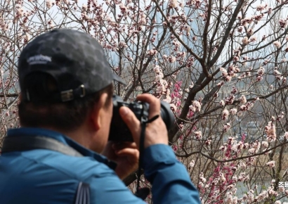 [포토] '봄을 담아라'