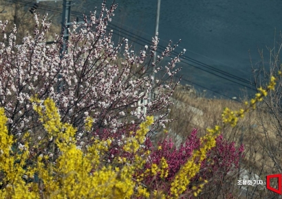 [포토] 3색 봄 기운