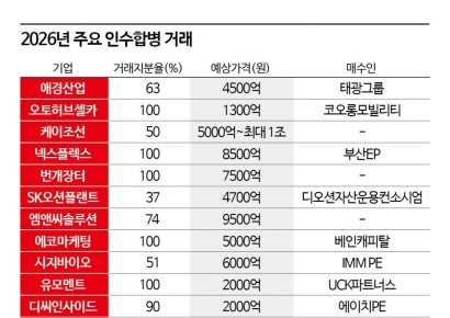 [PE는 지금] '빅딜' 침체…미드마켓에 쏠리는 PE들