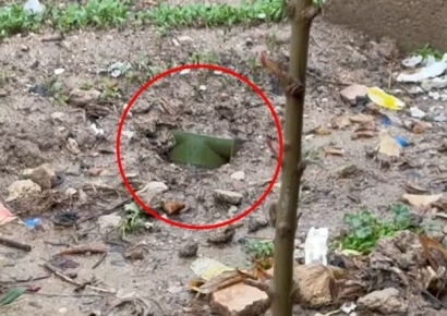 이란 남부에 대전차 지뢰가…美 살포 의혹