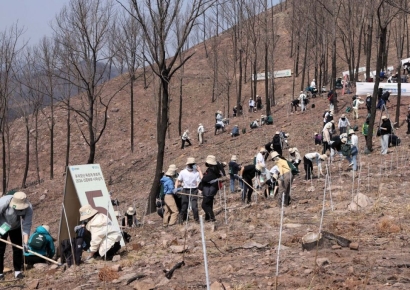 [포토]안동 산불 피해지역에서 신혼부부 나무심기 행사