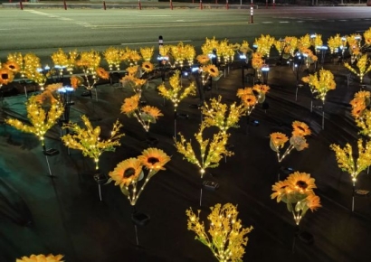 청도군, 각북면·이서면 유휴지에 '빛나는 꽃길' 조성…관광객 눈길