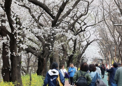 [내일날씨]전국 흐리고 서울 미세먼지 '나쁨'…곳곳 봄비