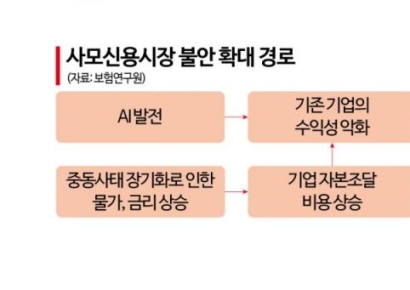 "사모신용 불안 확산…보험사, 투자 리스크 관리 강화해야"