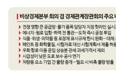 [범부처 비상대응] 원유·호르무즈 대안 찾고 차 수출 지원까지