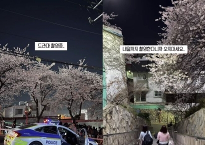 벚꽃 명소 찾아 부산까지 갔는데…발길 돌린 사람들, 왜?