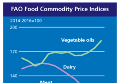 '중동 위기'에 세계 식량가격 2.4% 상승…유지류·설탕 급등