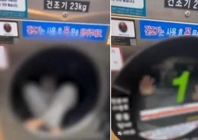 "대체 왜 거길" 무인빨래방 건조기 안에서 '탕탕'…조회수 욕심이 부른 '아찔한 장난'