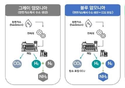 “바다 위 탄소 제로 도전”… 그린 암모니아, 해운 미래 연료로 부상