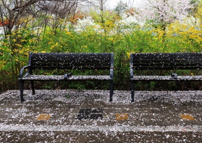 [내일 날씨]광주·전남 맑지만 '꽃샘추위'…체감온도 '뚝'