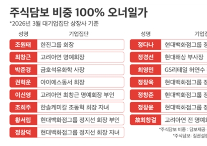 대기업 오너일가 주식 25% 담보…대출금 1~3위 삼성