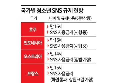 정부는 뭐 하나… 해외는 전면 금지하는데 한국만 '제자리걸음' [청소년 SNS 전쟁]