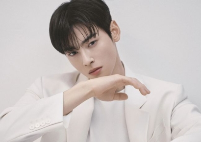 200억 탈세 의혹 차은우 "국세청 존중, 세금 모두 납부…'몰랐다' 회피 안 할 것"