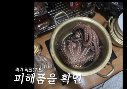 심야에 몰래 시장 간 50대…'문어' 훔쳐 삶아 먹었다