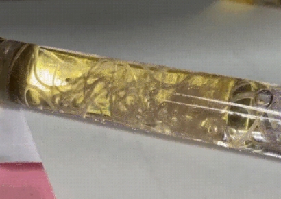 "깨지면 위험한 거 아니야?"…볼펜 안에서 기생충이 '꿈틀'