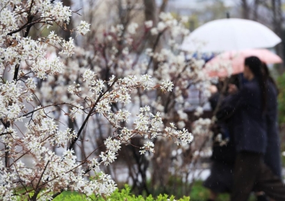 [내일날씨]낮까지 전국에 비…제주·남해안 강풍 주의