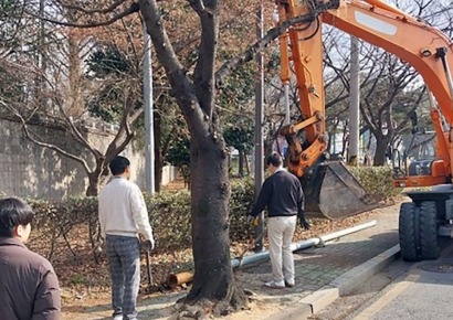 광주 서구, 보행 방해 인도 위 전주·통신주 정비 