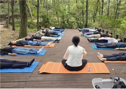 올해 부산 숲엔 어떤 일이?… 부산시, '산림교육 프로그램' 운영