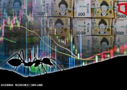 "유튜브 등 핀플루언서 추천 주의"…금감원, 불법행위 정황 포착