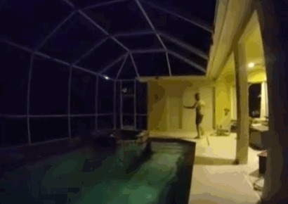 "누군가 들어왔다"…신고 받고 온 경찰이 발견한 것은 '거대한 악어'