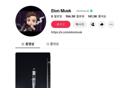 머스크, 경쟁 SNS까지 손 뻗나…틱톡·인스타 계정 개설 
