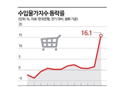 "중동전쟁 직격탄" 수입물가 16.1% 뛰었다…28년來 최고 상승률