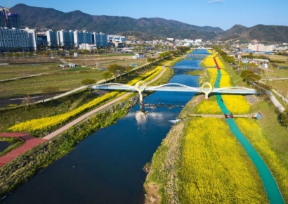 [기획] 화순에 찾아온 봄 매력…'2026 화순 봄꽃 축제' 열려요~