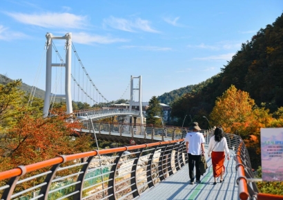 속초시, 설악향기로 개통 20개월 만에 '50만 돌파'…설악동 부활 신호탄