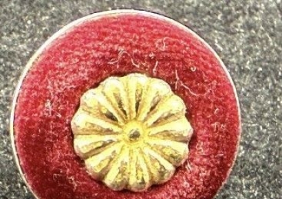 "100만 원 넘어가잖아"…금값 상승에 결국 의원 배지 재질 바꾼다는 日