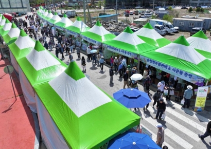 순창 '참두릅 여행', 입맛 돋우고 농가소득도 '두둑'
